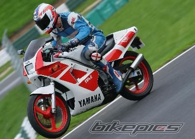 2008 YAMAHA TZR 250 | Picture 1331313 motorcycle photo