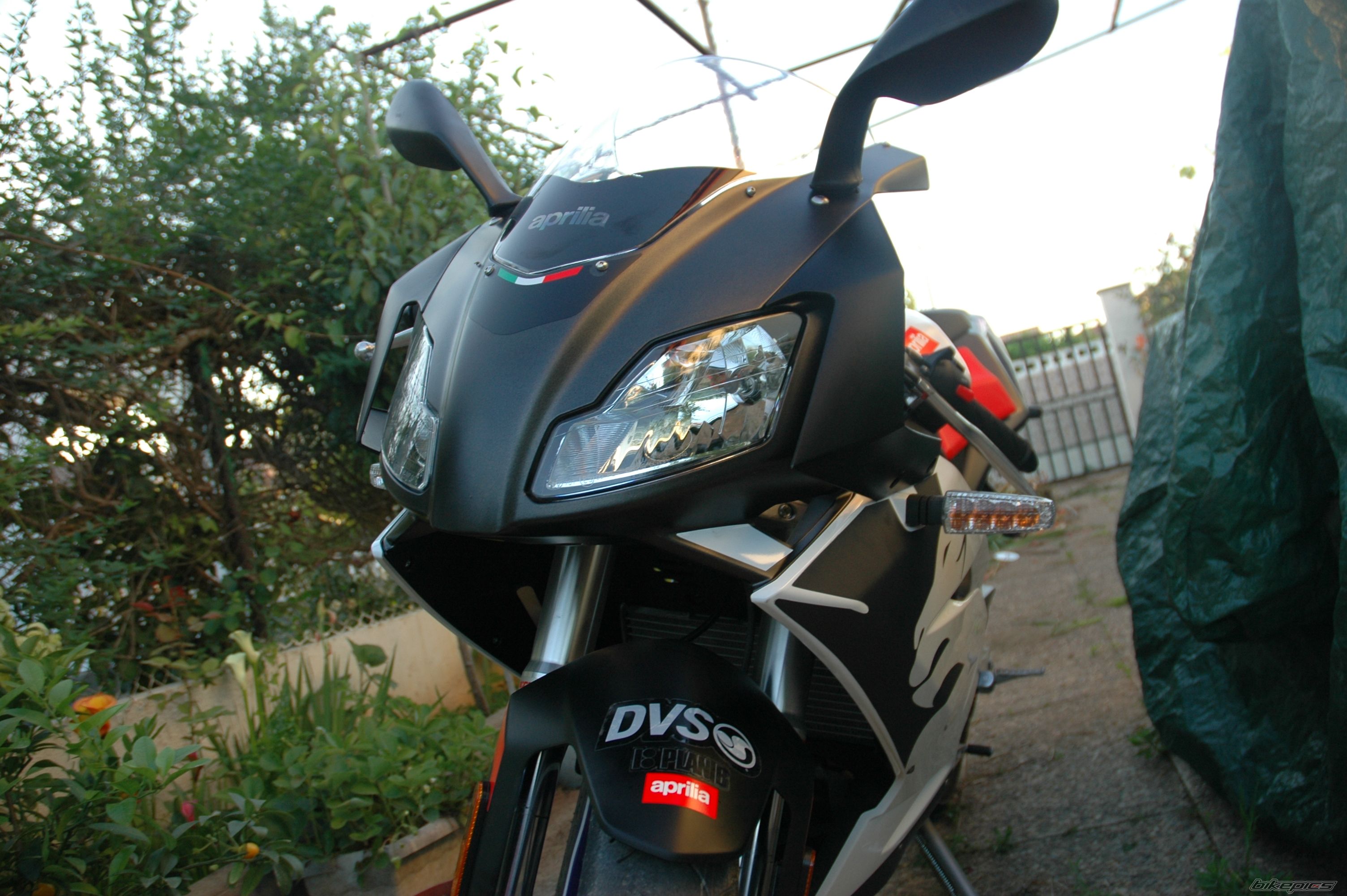 2008 APRILIA RS 50 | Picture 1331480 motorcycle photo