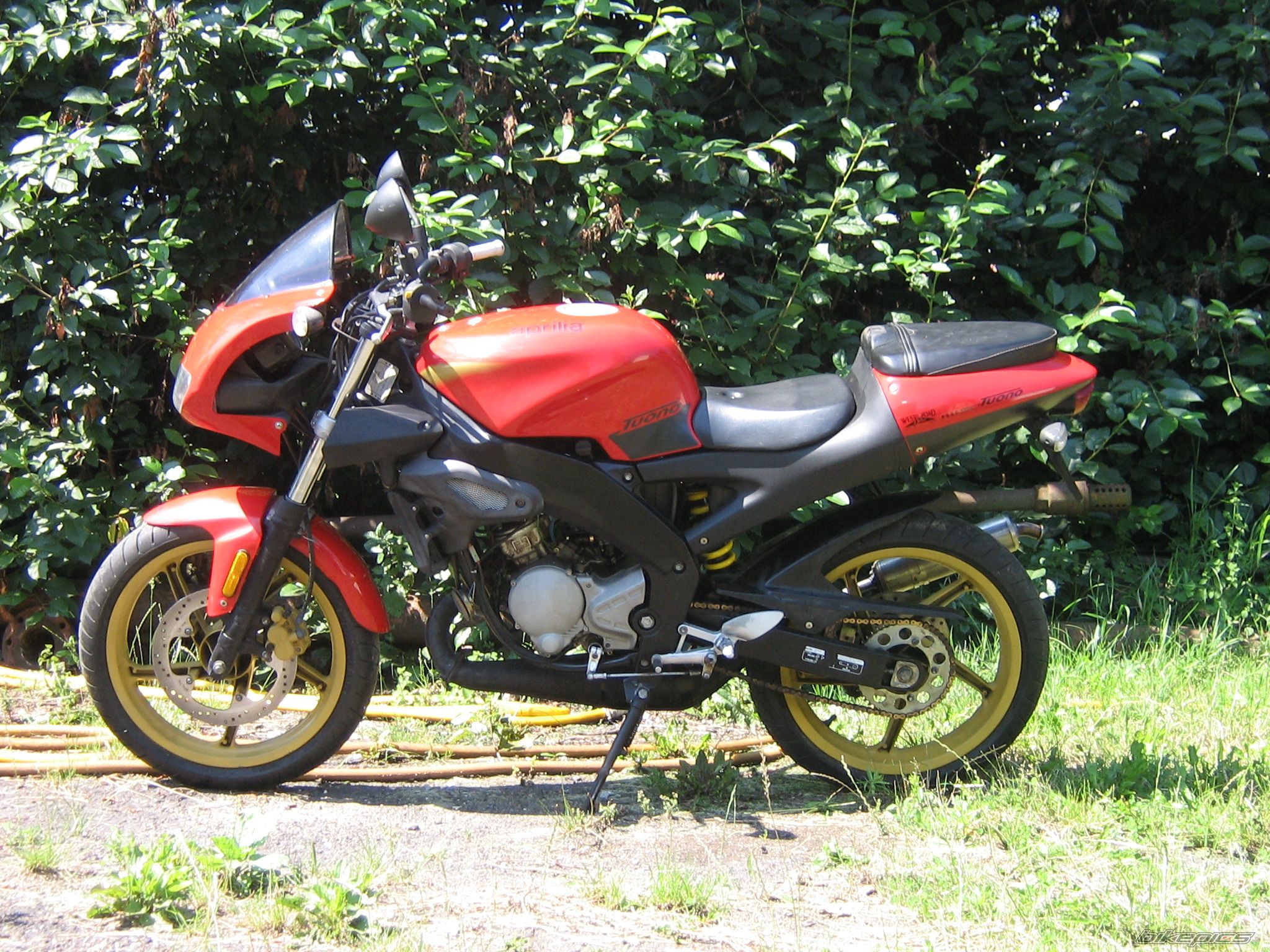 2003 APRILIA TUONO 50 | Picture 1331528 motorcycle photo