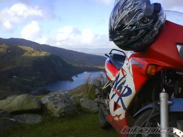 2004 HONDA NS1 80 | Picture 1331711 motorcycle photo