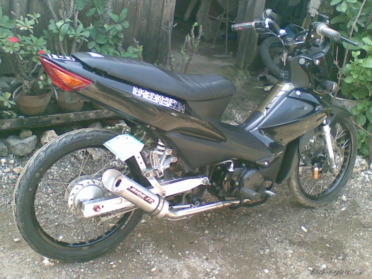 2008 HONDA WAVE ALPHA 100 | Picture 1331850 motorcycle photo