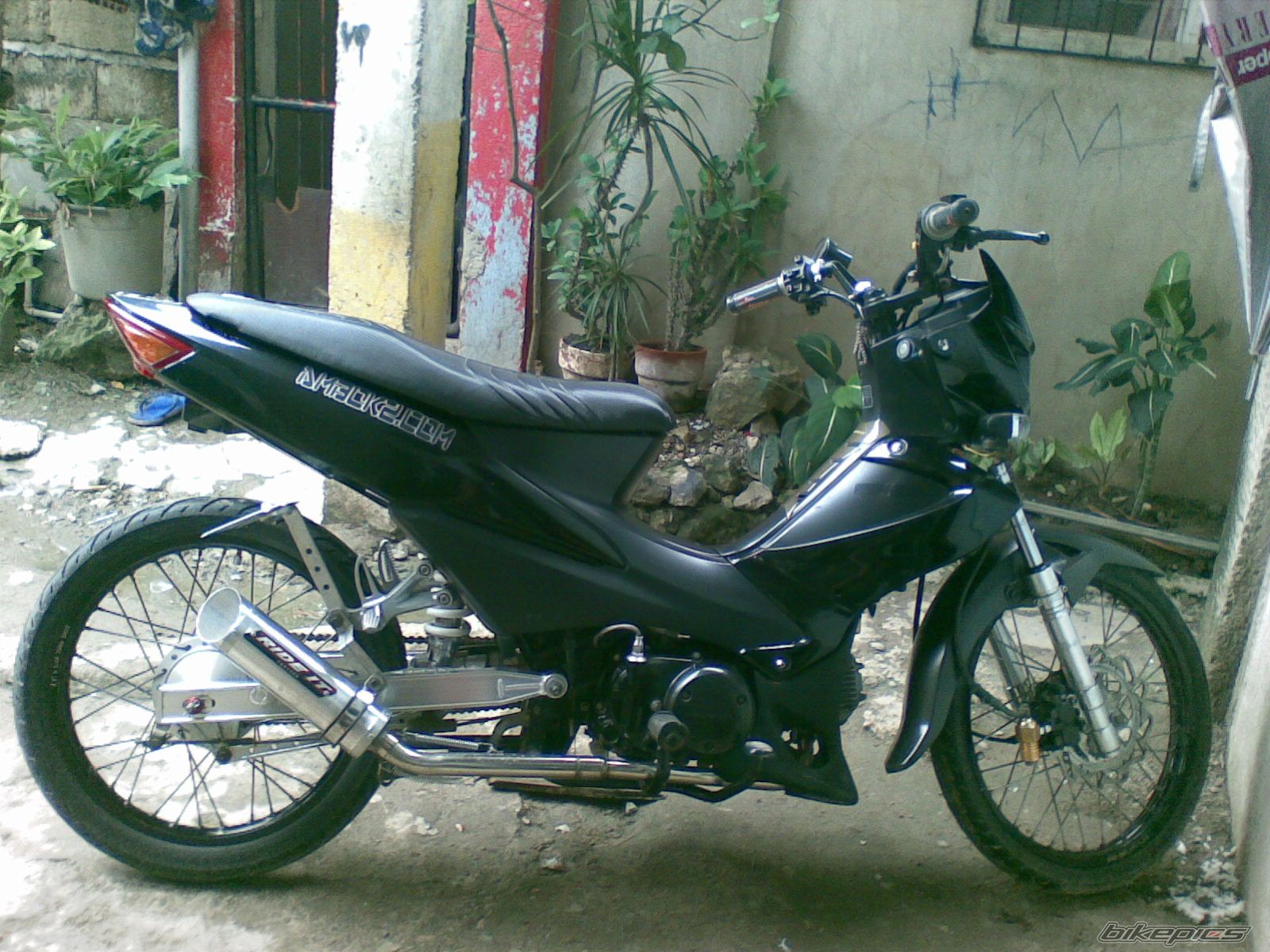 2008 HONDA WAVE ALPHA 100 | Picture 1331854 motorcycle photo