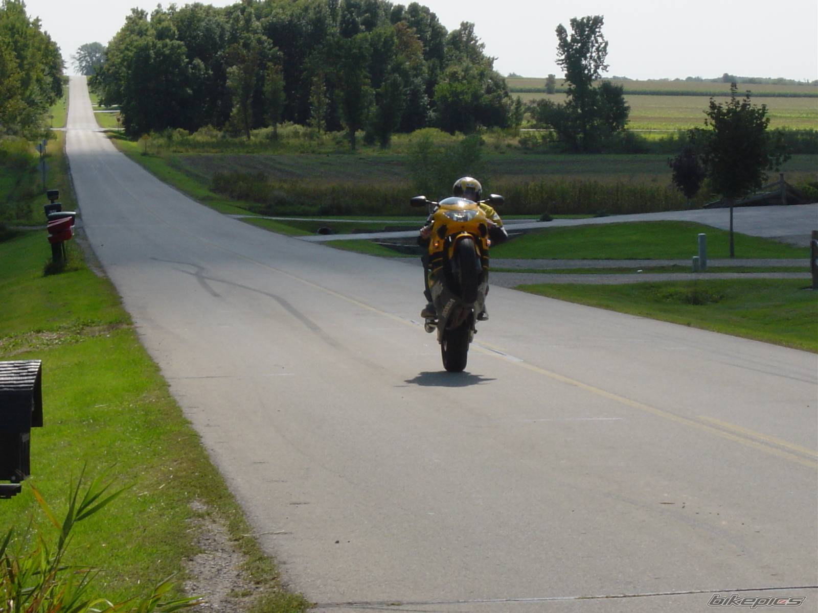 1999 HONDA CBR 600 | Picture 133232 motorcycle photo