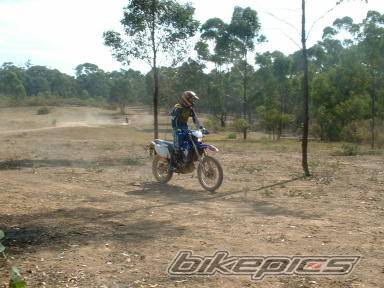 2004 YAMAHA WR450 | Picture 133291 motorcycle photo