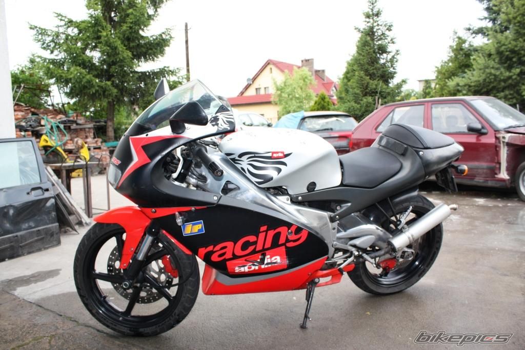 2003 APRILIA RS 125 | Picture 1333628 motorcycle photo