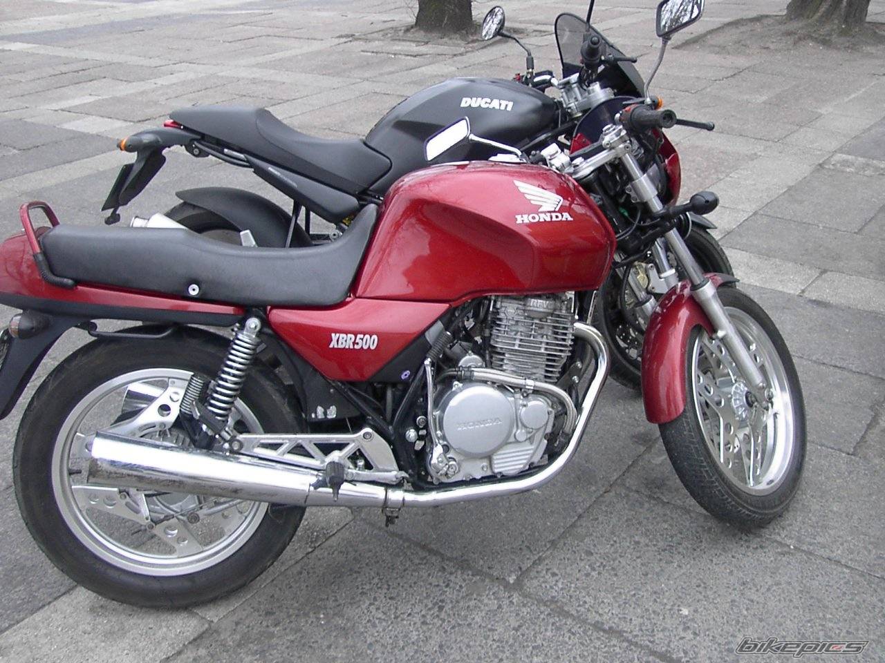 2001 DUCATI MONSTER 750 | Picture 133383 motorcycle photo