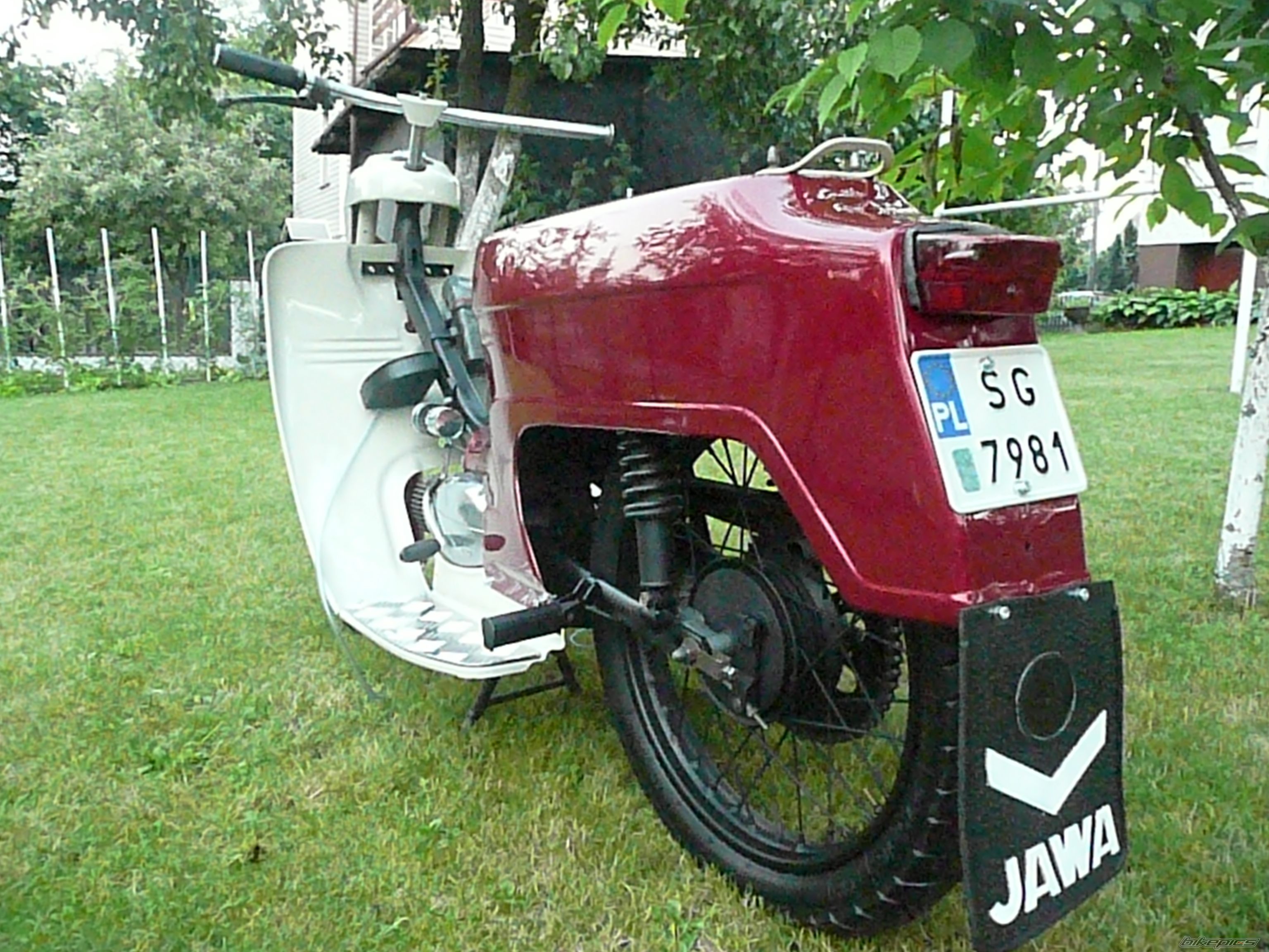 1979 JAWA 50 | Picture 1333890 motorcycle photo