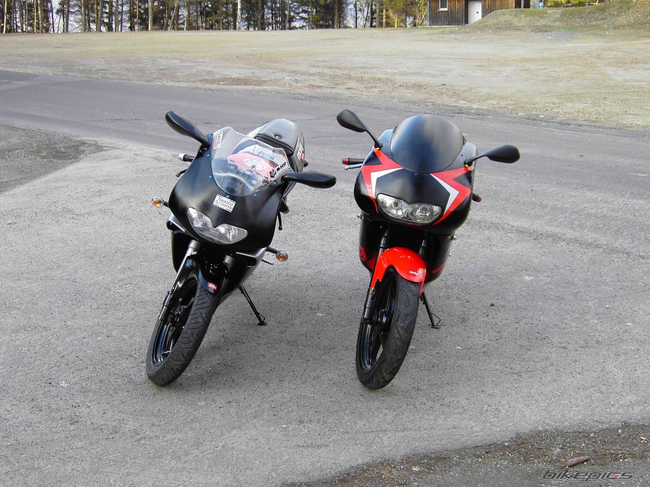 1994 APRILIA RS 50 | Picture 133423 motorcycle photo