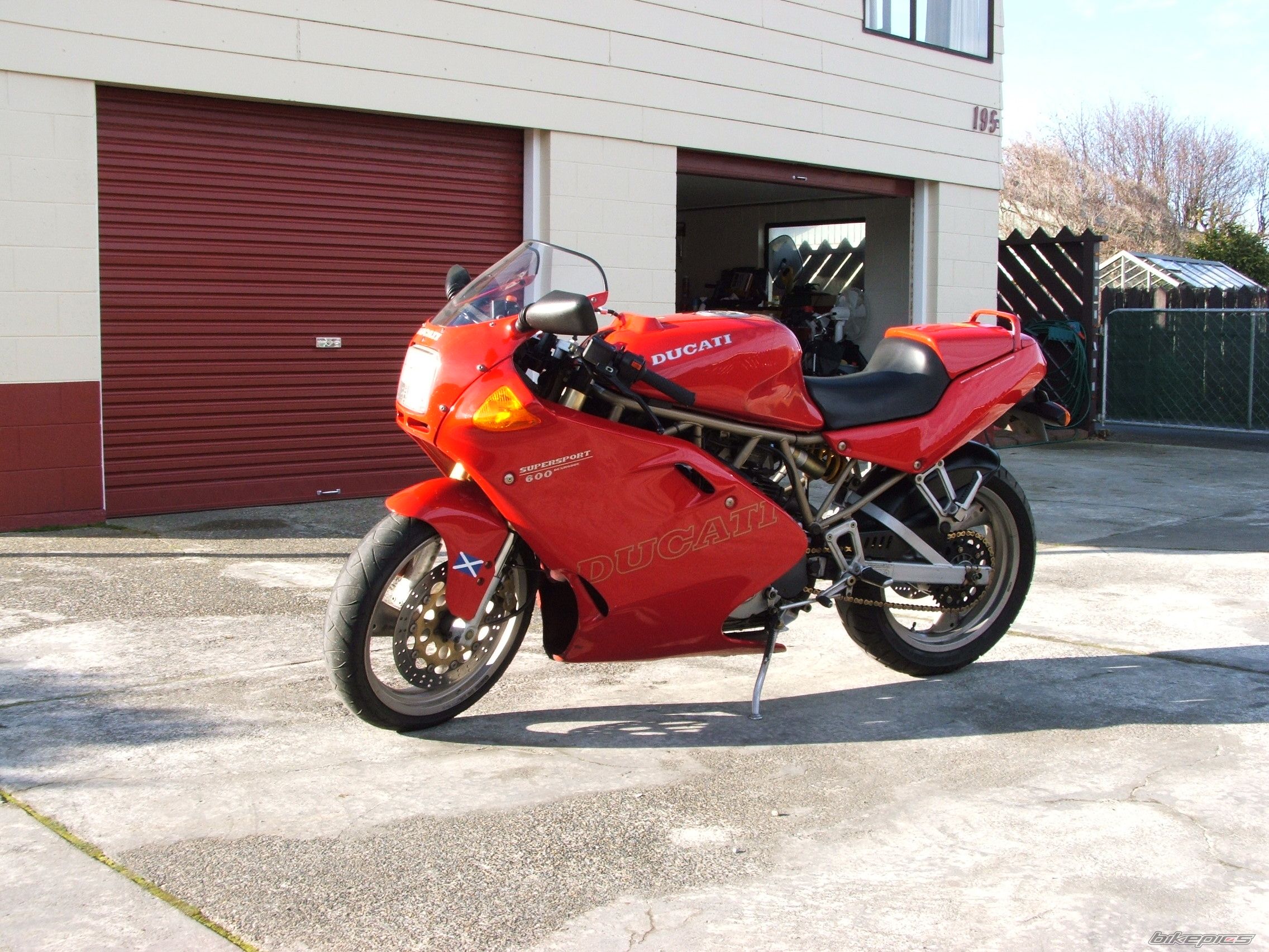 1998 DUCATI 600 SS | Picture 1334240 motorcycle photo