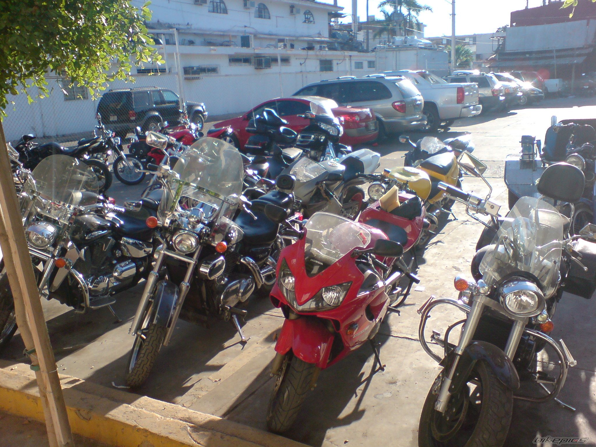 2001 HONDA CBR 600 FS | Picture 1334614 motorcycle photo
