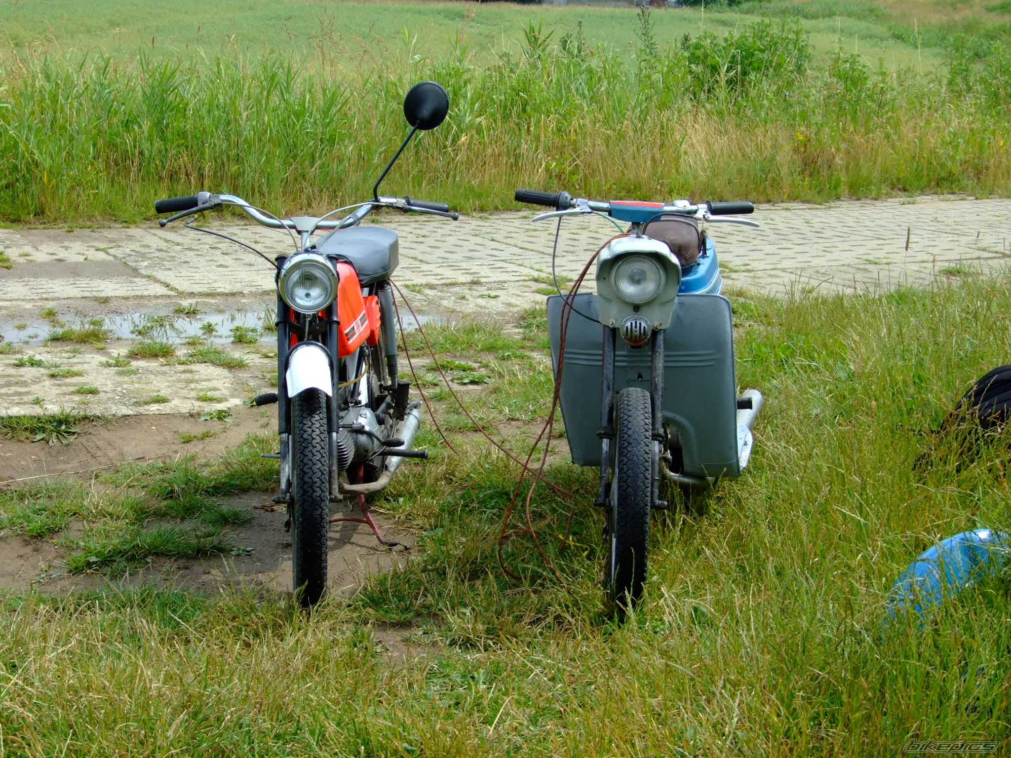 1971 JAWA 50 | Picture 1334831 motorcycle photo