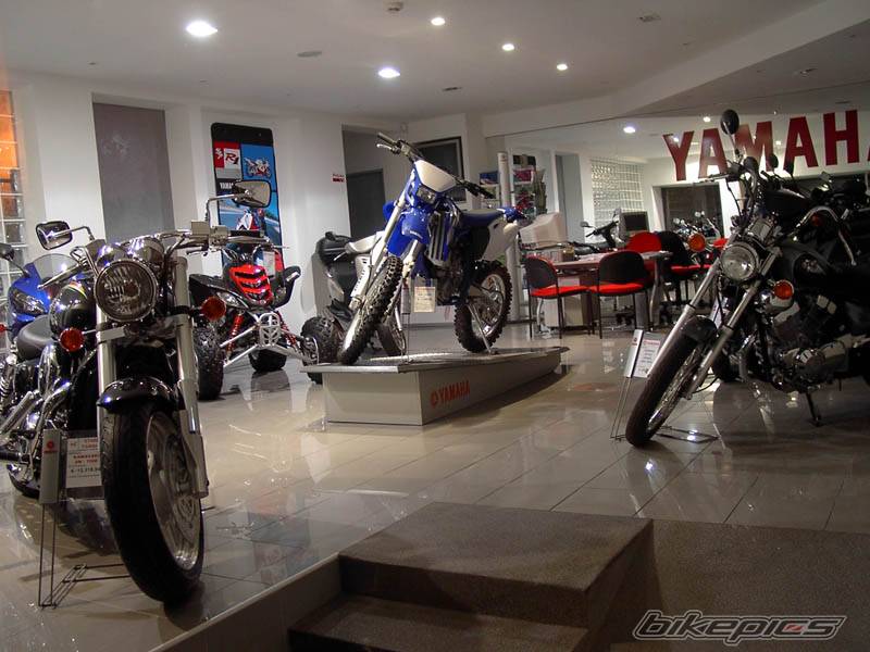 2003 YAMAHA WR 250F | Picture 133531 motorcycle photo