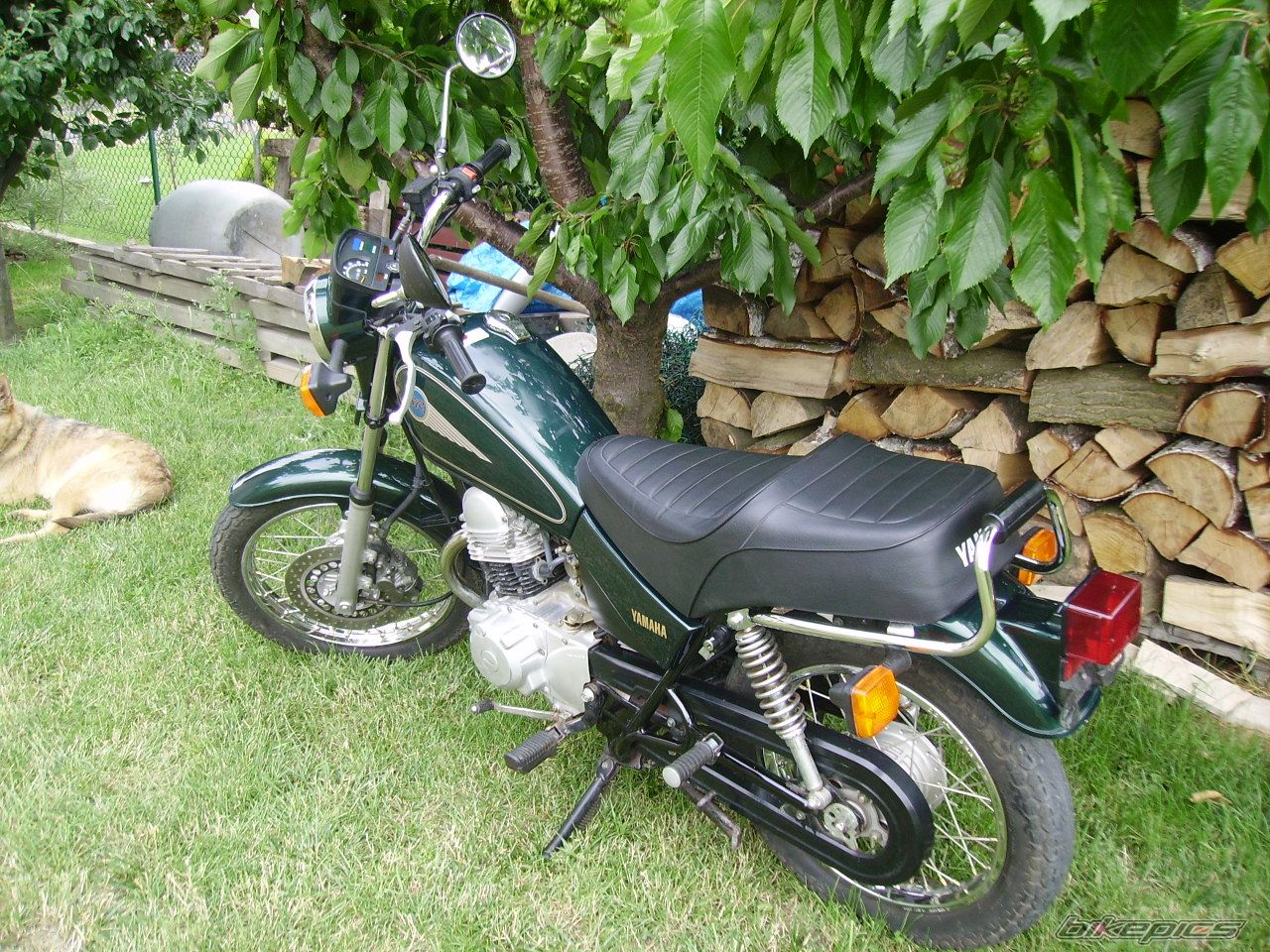 1998 YAMAHA SR 125 | Picture 1336143 motorcycle photo