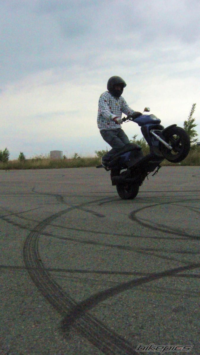 2001 YAMAHA EW 50 SLIDER | Picture 1336586 motorcycle photo