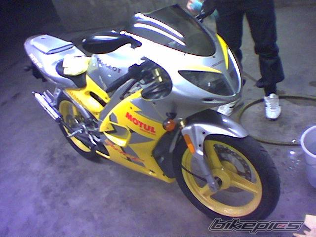 2004 PEUGEOT XR6 | Picture 133668 motorcycle photo