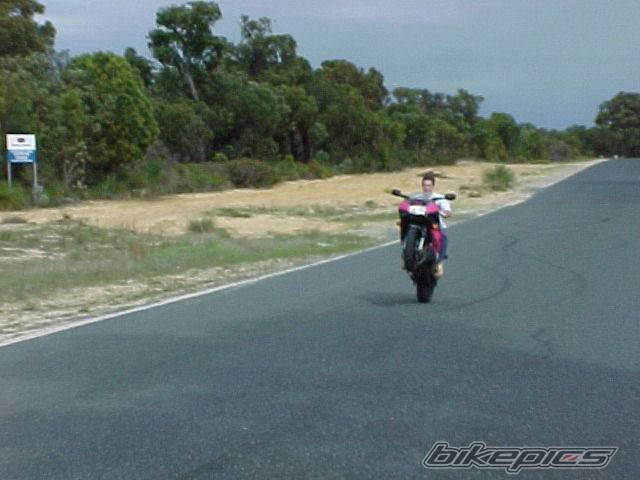 1993 HONDA CBR 600 | Picture 133669 motorcycle photo