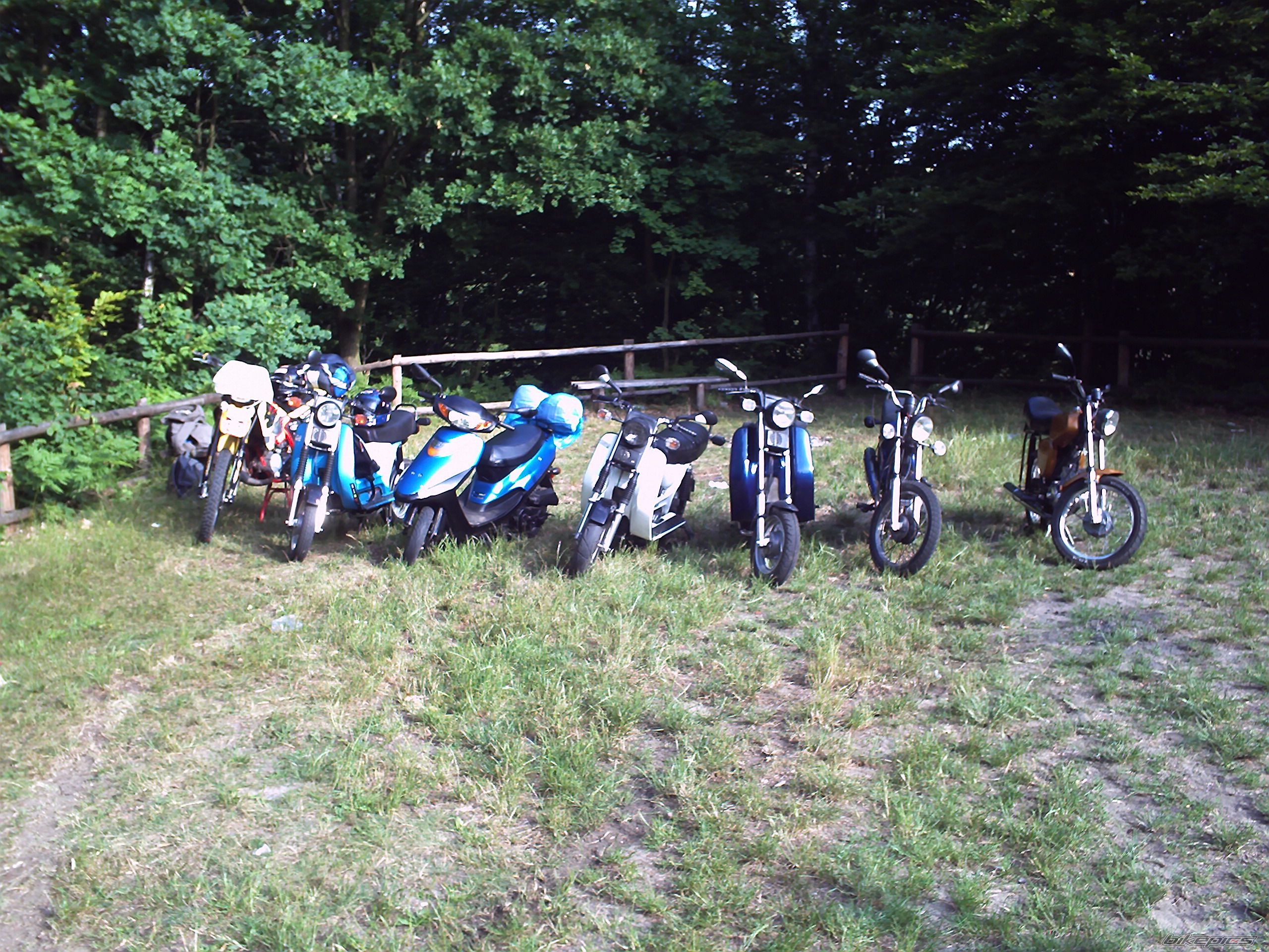 1989 SIMSON SR 50 | Picture 1337162 motorcycle photo