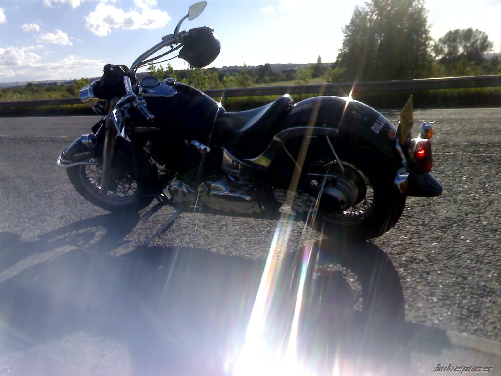 1998 YAMAHA XVS 650 DRAG STAR CLASSIC | Picture 1337376 motorcycle photo
