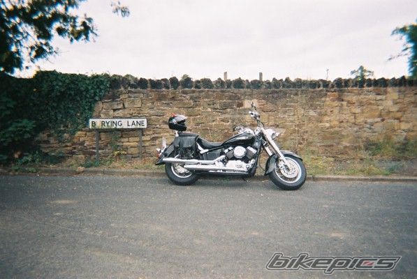 1998 YAMAHA XVS 650 DRAG STAR CLASSIC | Picture 1337400 motorcycle photo