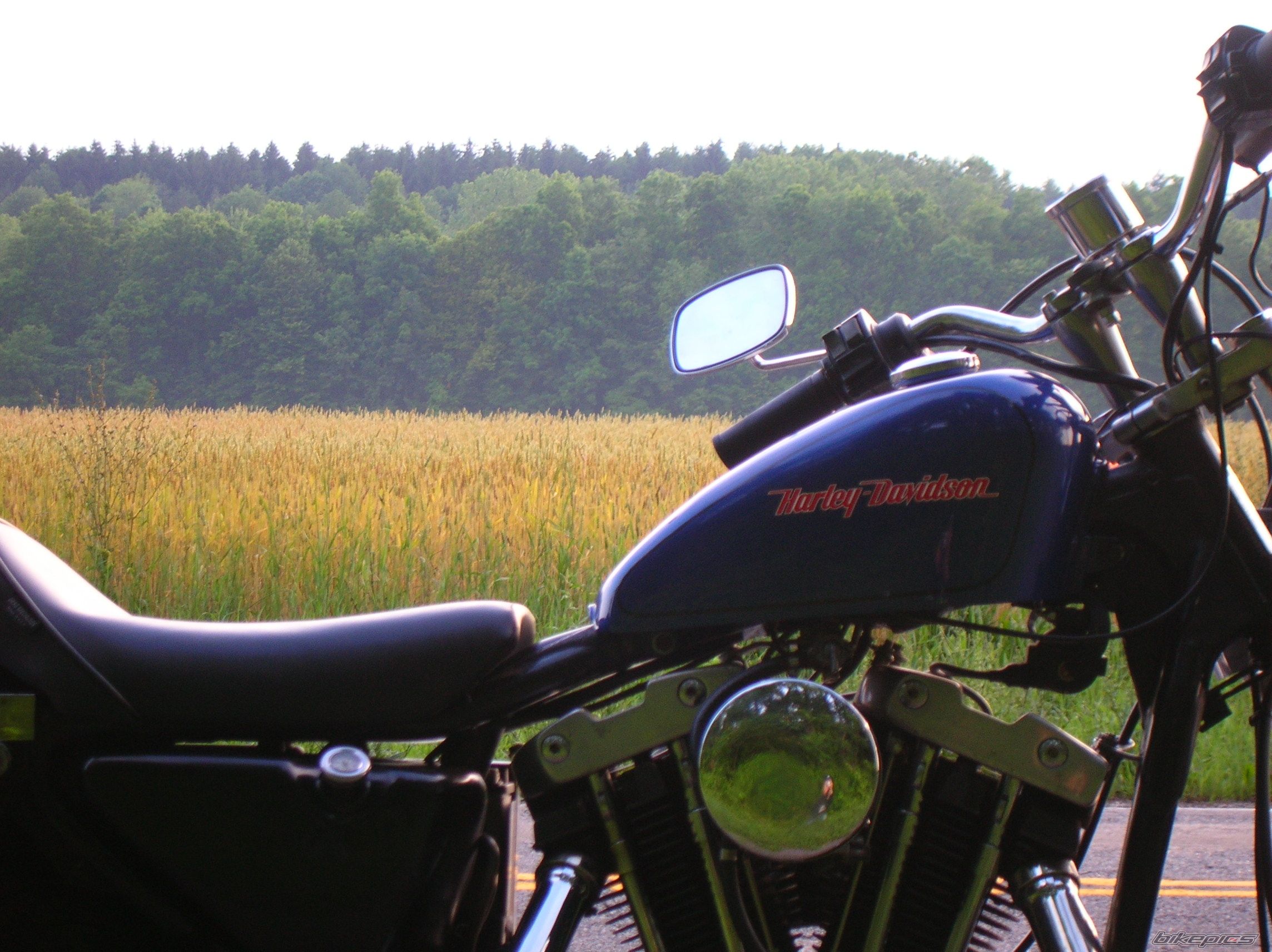 1984 HARLEY DAVIDSON XLH 1000 | Picture 1337425 motorcycle photo