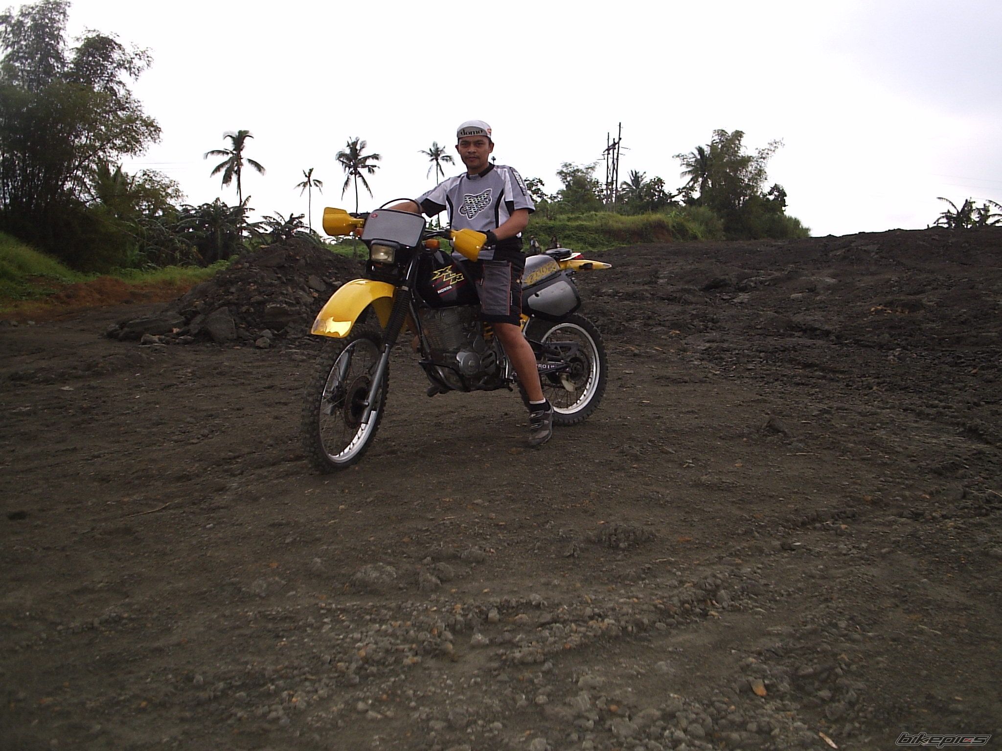 2002 HONDA XLR 250 | Picture 1337738 motorcycle photo