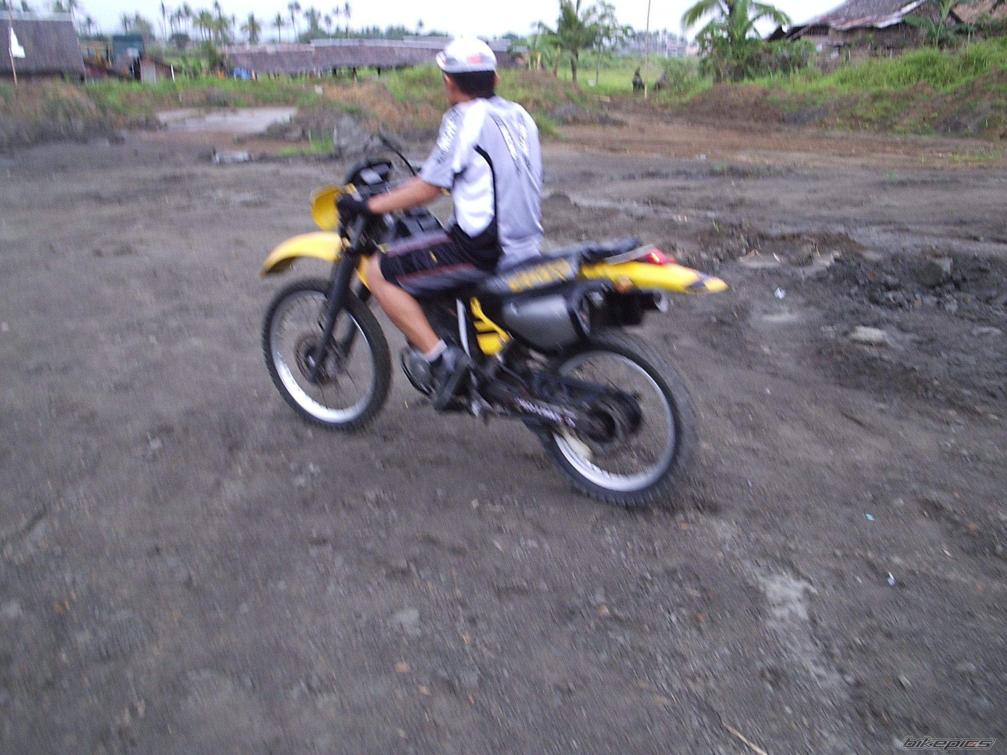 2002 HONDA XLR 250 | Picture 1337744 motorcycle photo