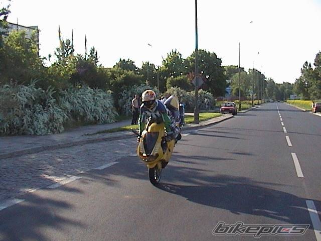 1999 SUZUKI TL1000R | Picture 133775 motorcycle photo