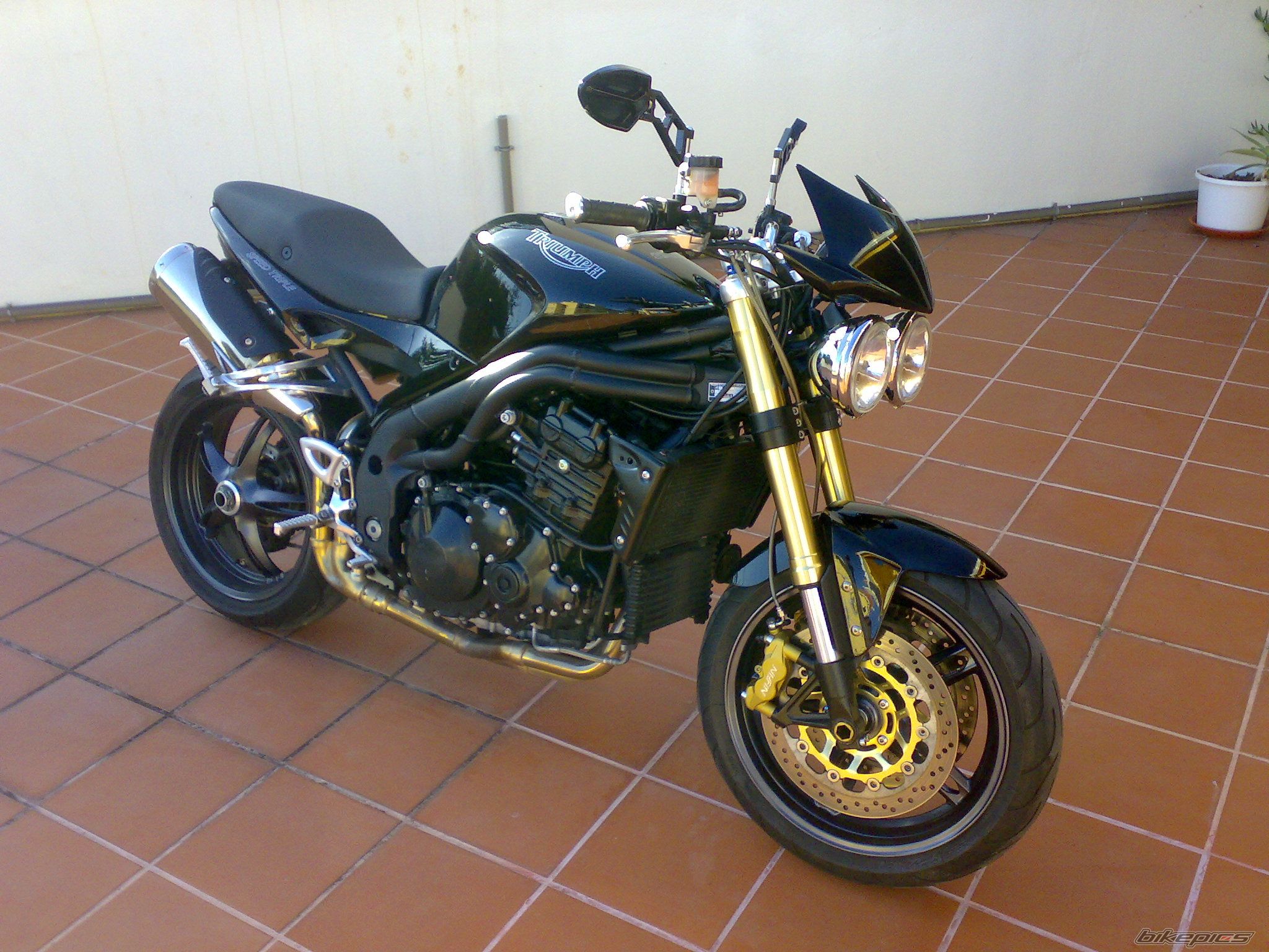 2005 TRIUMPH SPEED TRIPLE | Picture 1337865 motorcycle photo
