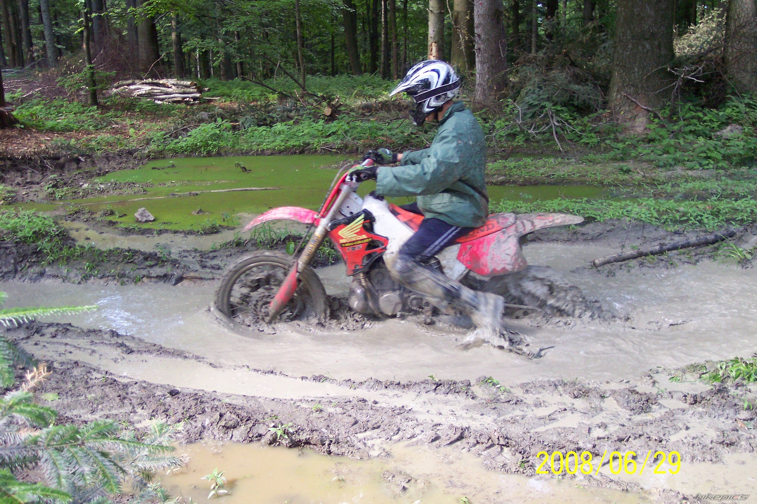 1995 HONDA CR 250 | Picture 1337919 motorcycle photo