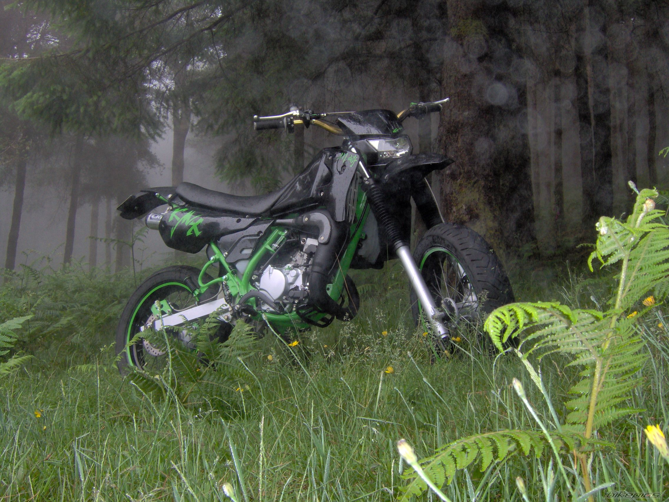 2001 KAWASAKI KMX 125 | Picture 1338287 motorcycle photo