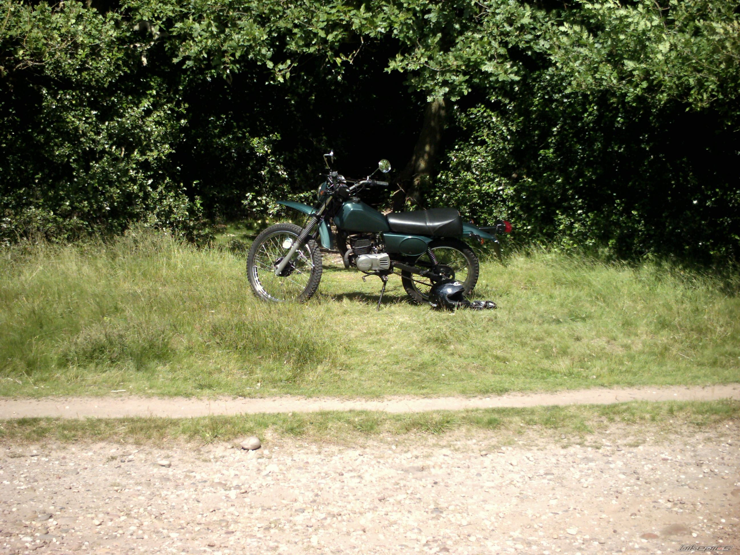 1980 SUZUKI TS 50 | Picture 1338349 motorcycle photo