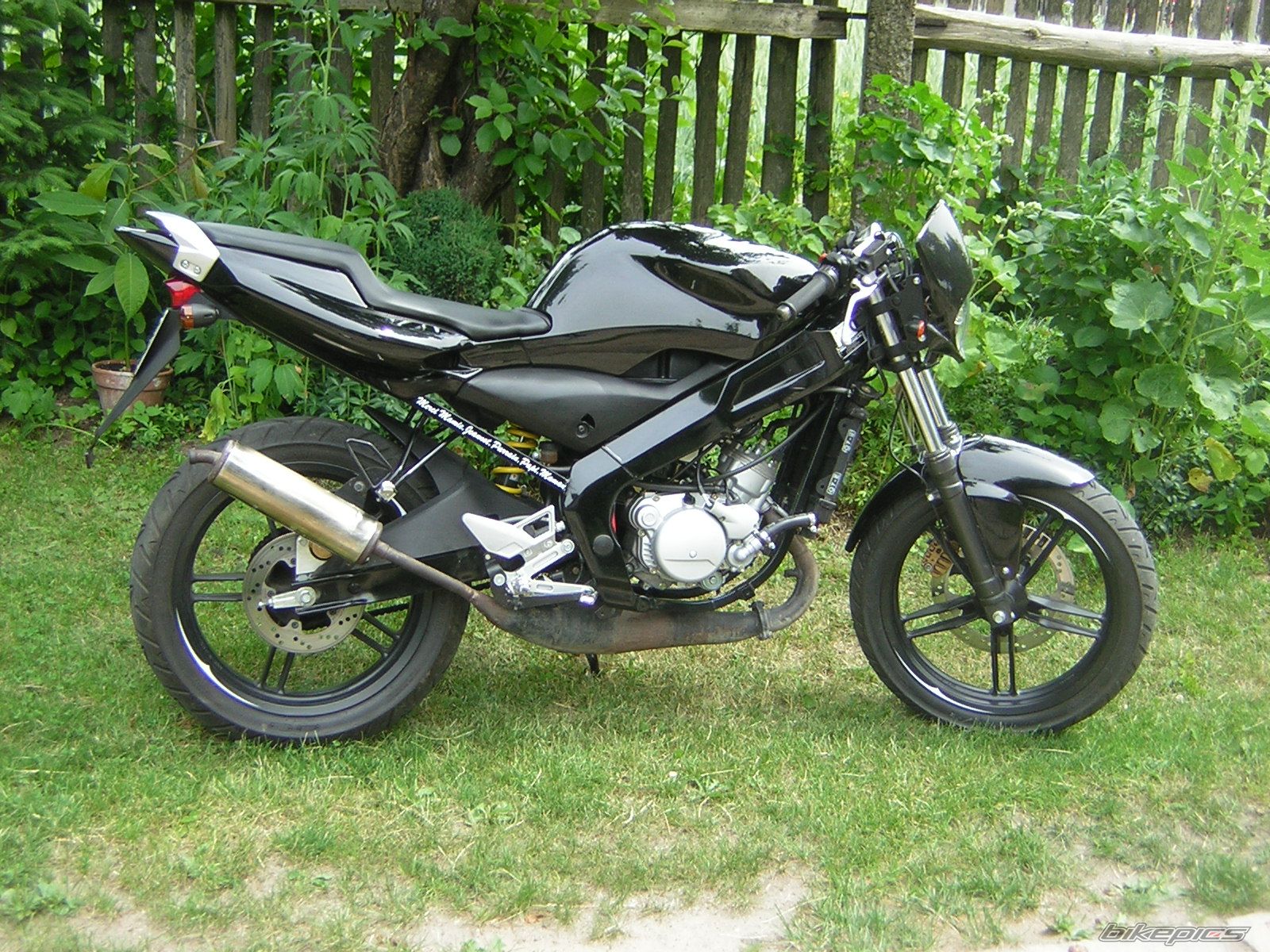 2007 YAMAHA TZR 50 | Picture 1338443 motorcycle photo