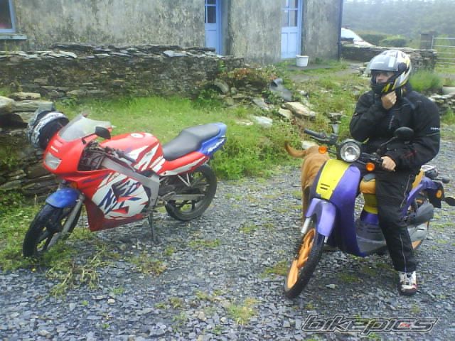 2004 HONDA NS1 80 | Picture 1338512 motorcycle photo