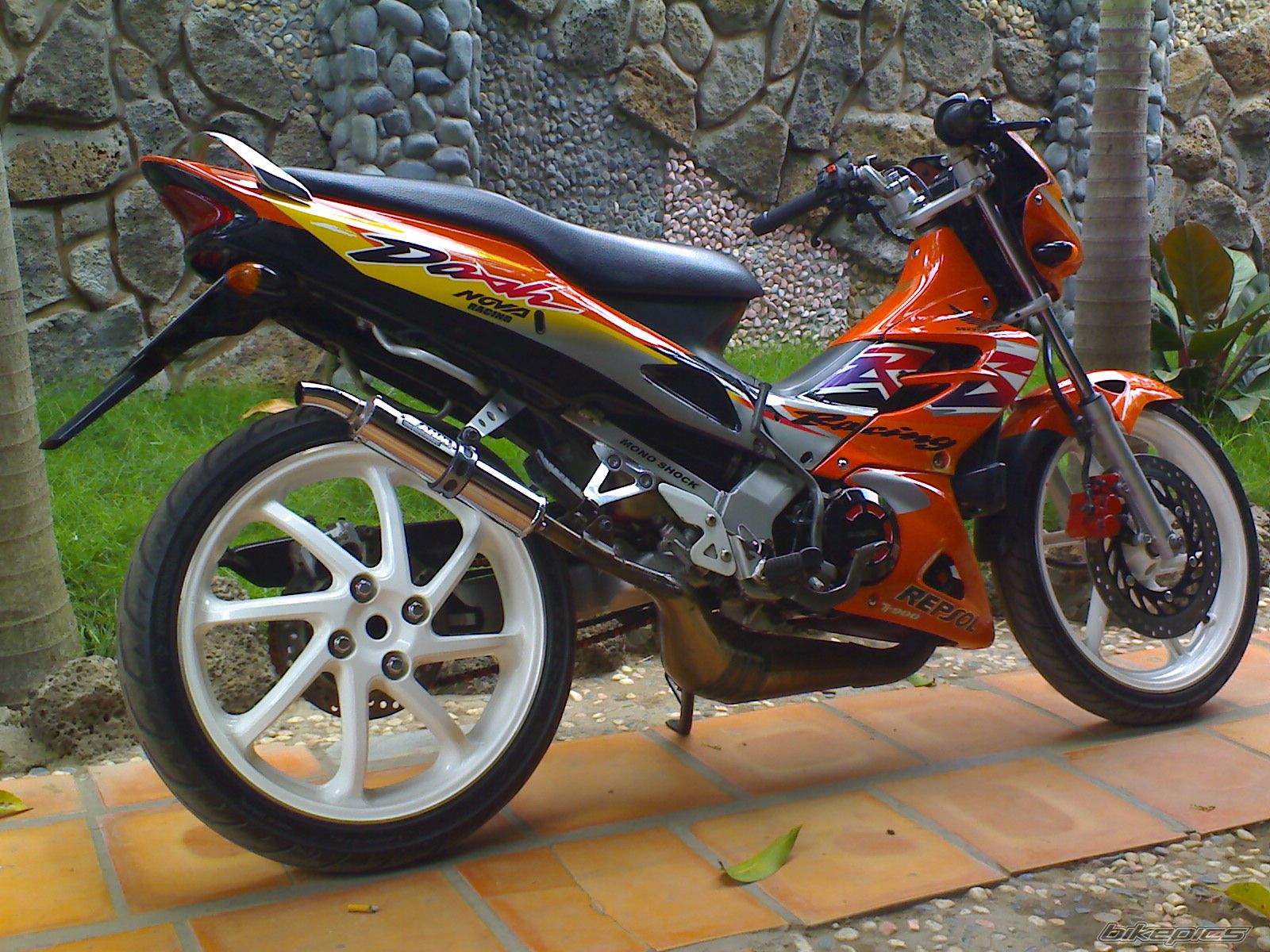 2008 HONDA NOVA DASH 125 | Picture 1339165 motorcycle photo