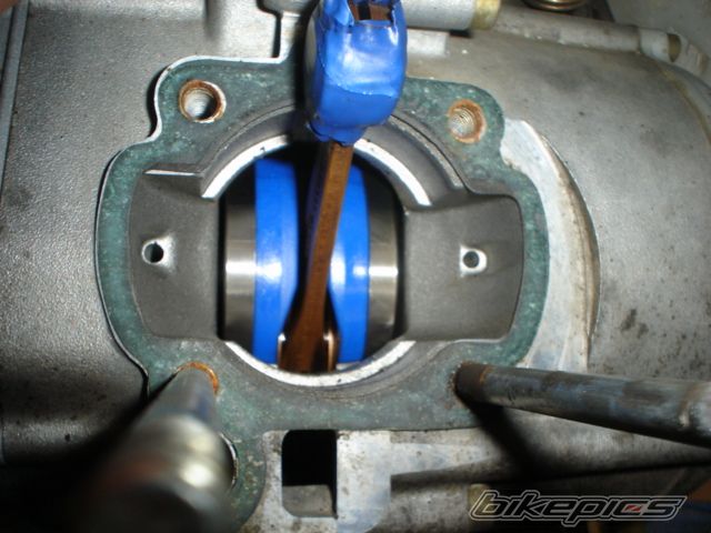 2005 YAMAHA TZR 50 | Picture 1339358 motorcycle photo