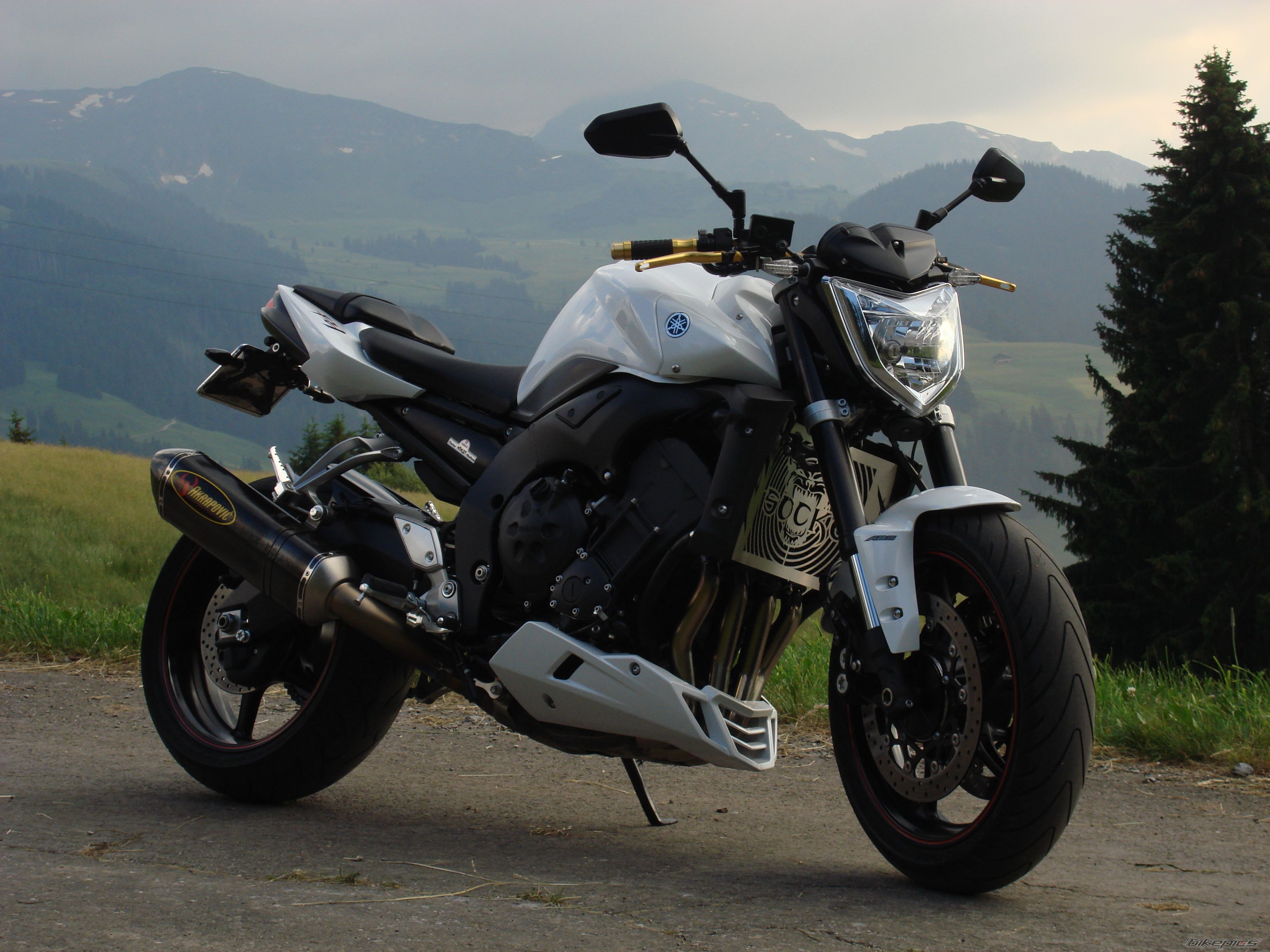 2008 YAMAHA FZ 1N | Picture 1339401 motorcycle photo