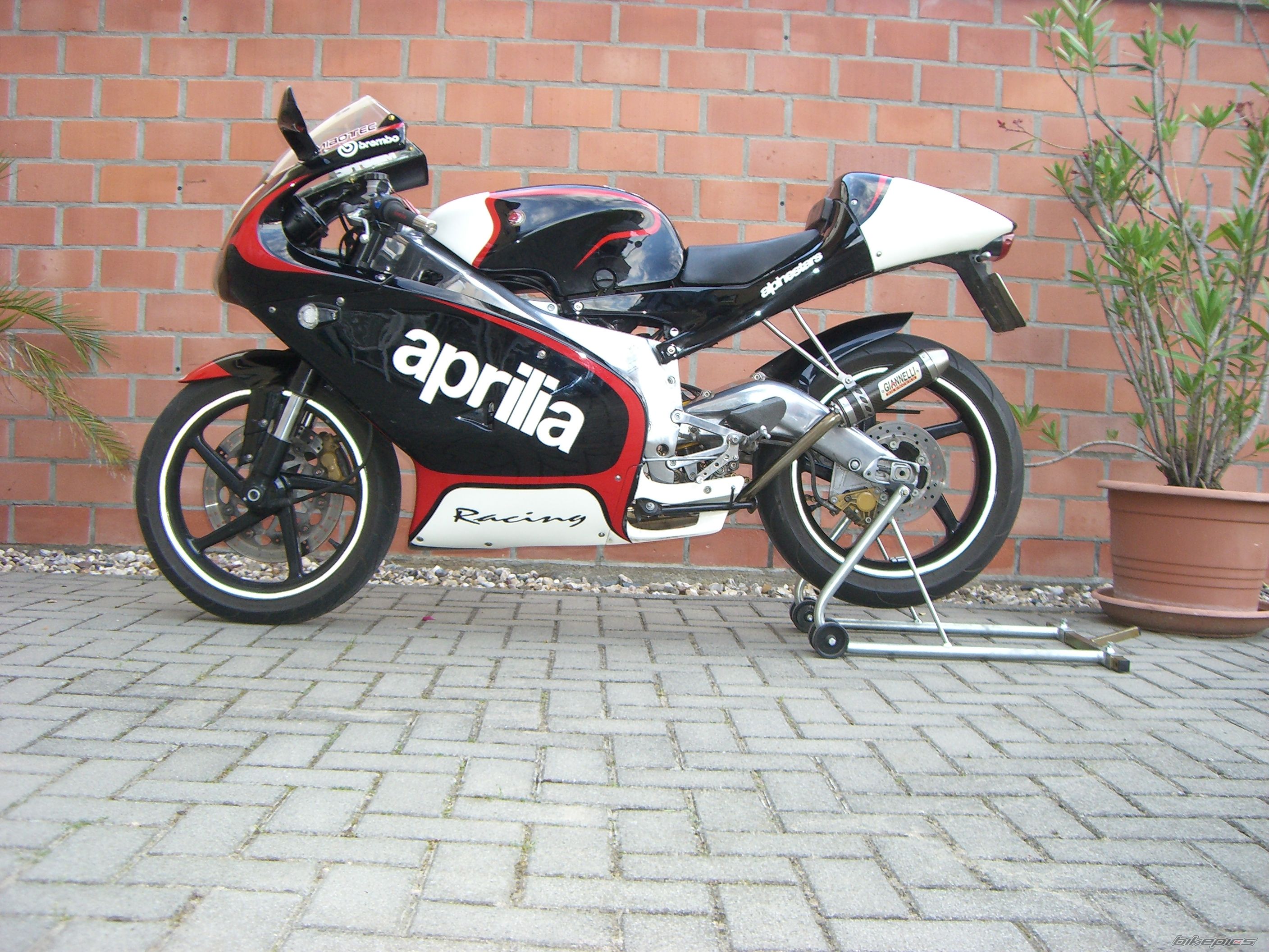 2005 APRILIA RS 125 | Picture 1340026 motorcycle photo
