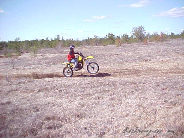 1981 YAMAHA YZ 80 | Picture 134017 motorcycle photo