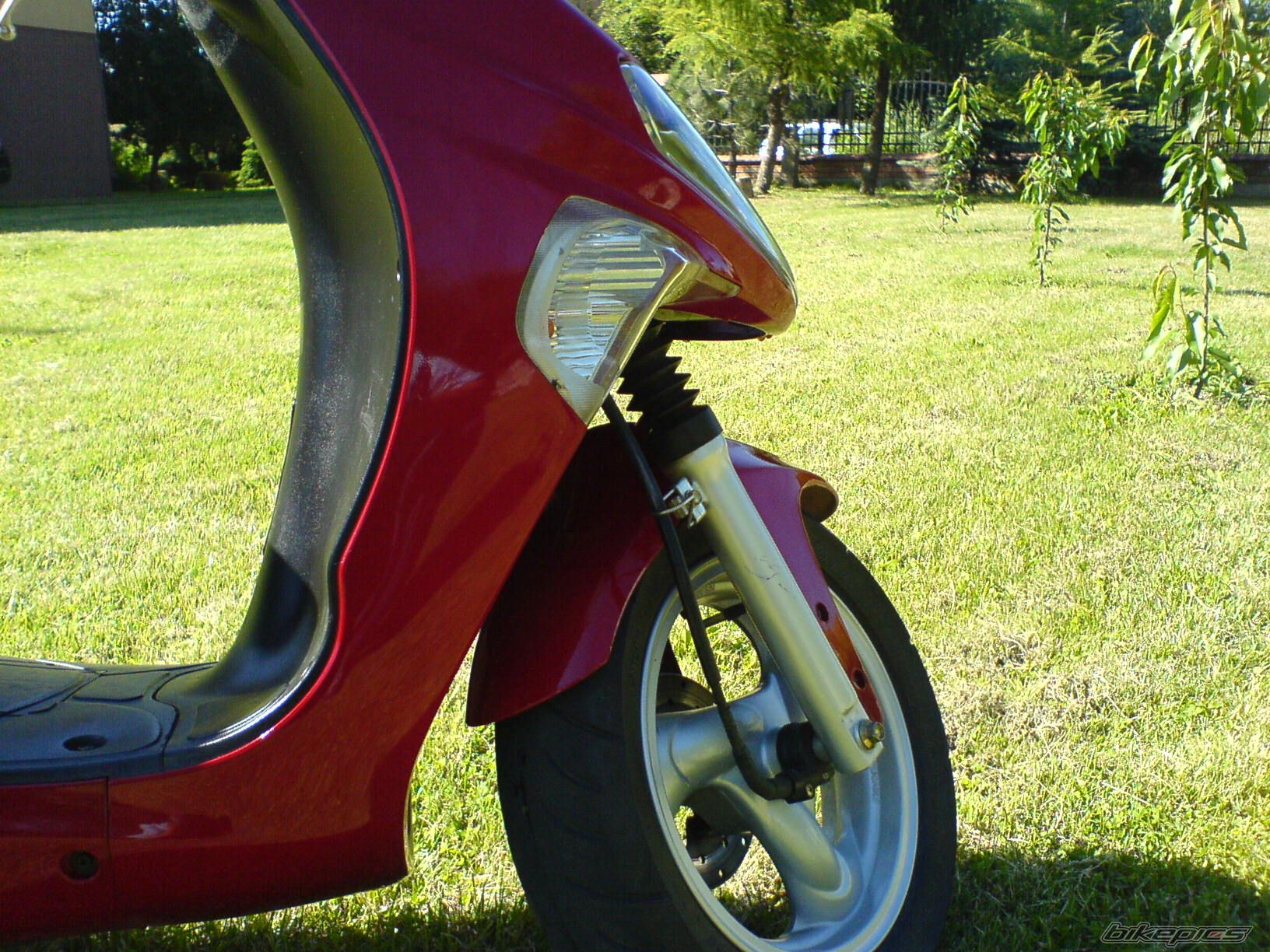 2005 KYMCO VITALITY 50 | Picture 1340196 motorcycle photo