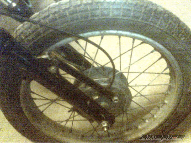 1981 WSK 175 KOBUZ | Picture 1340206 motorcycle photo