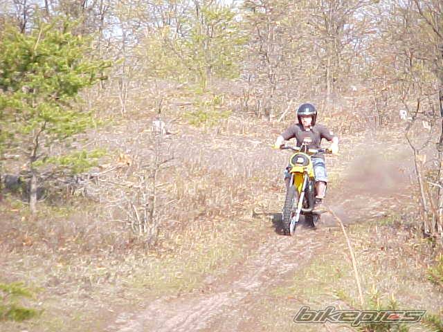 1981 YAMAHA YZ 80 | Picture 134021 motorcycle photo