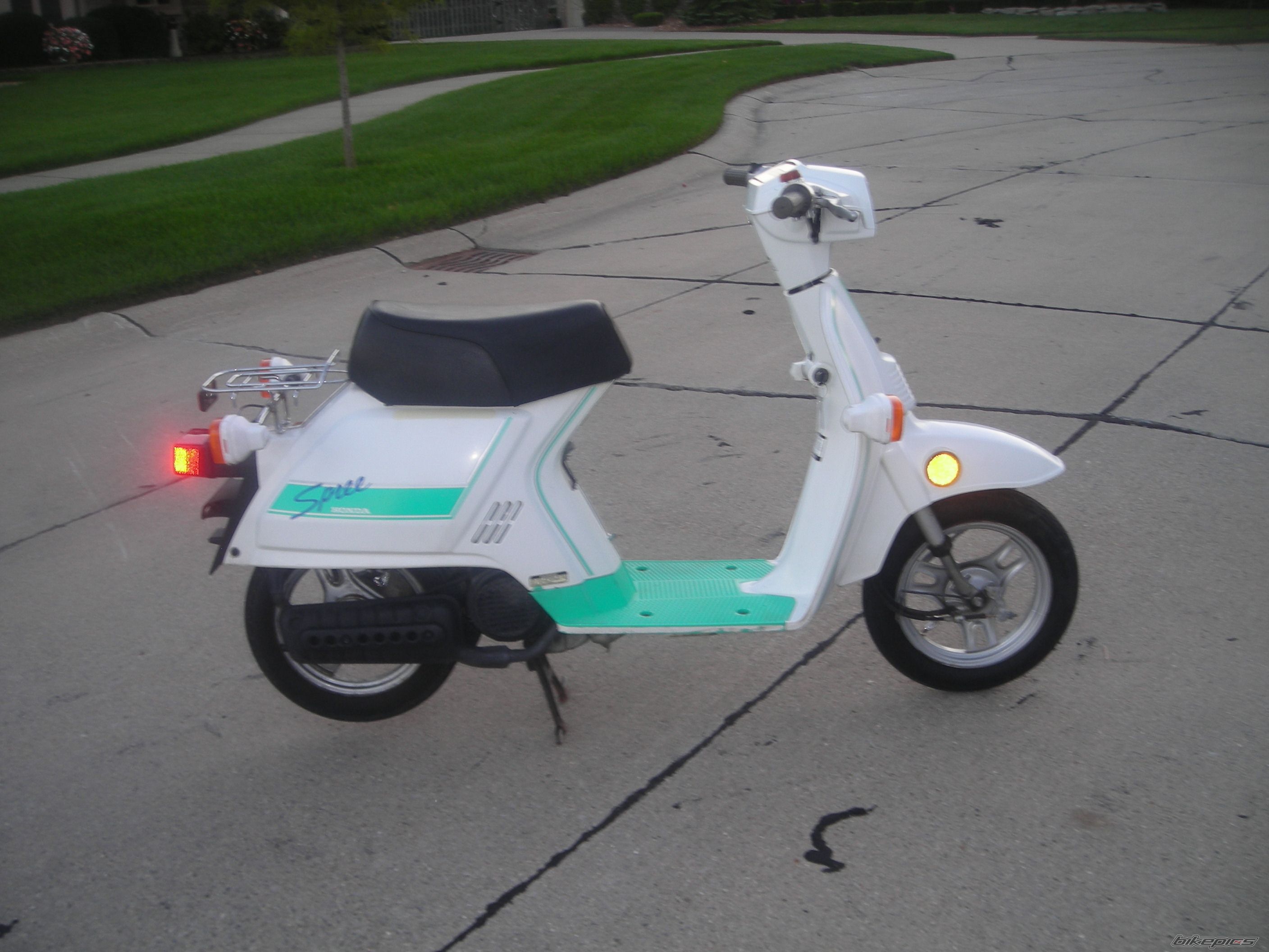 1986 HONDA SPREE | Picture 1340769 motorcycle photo
