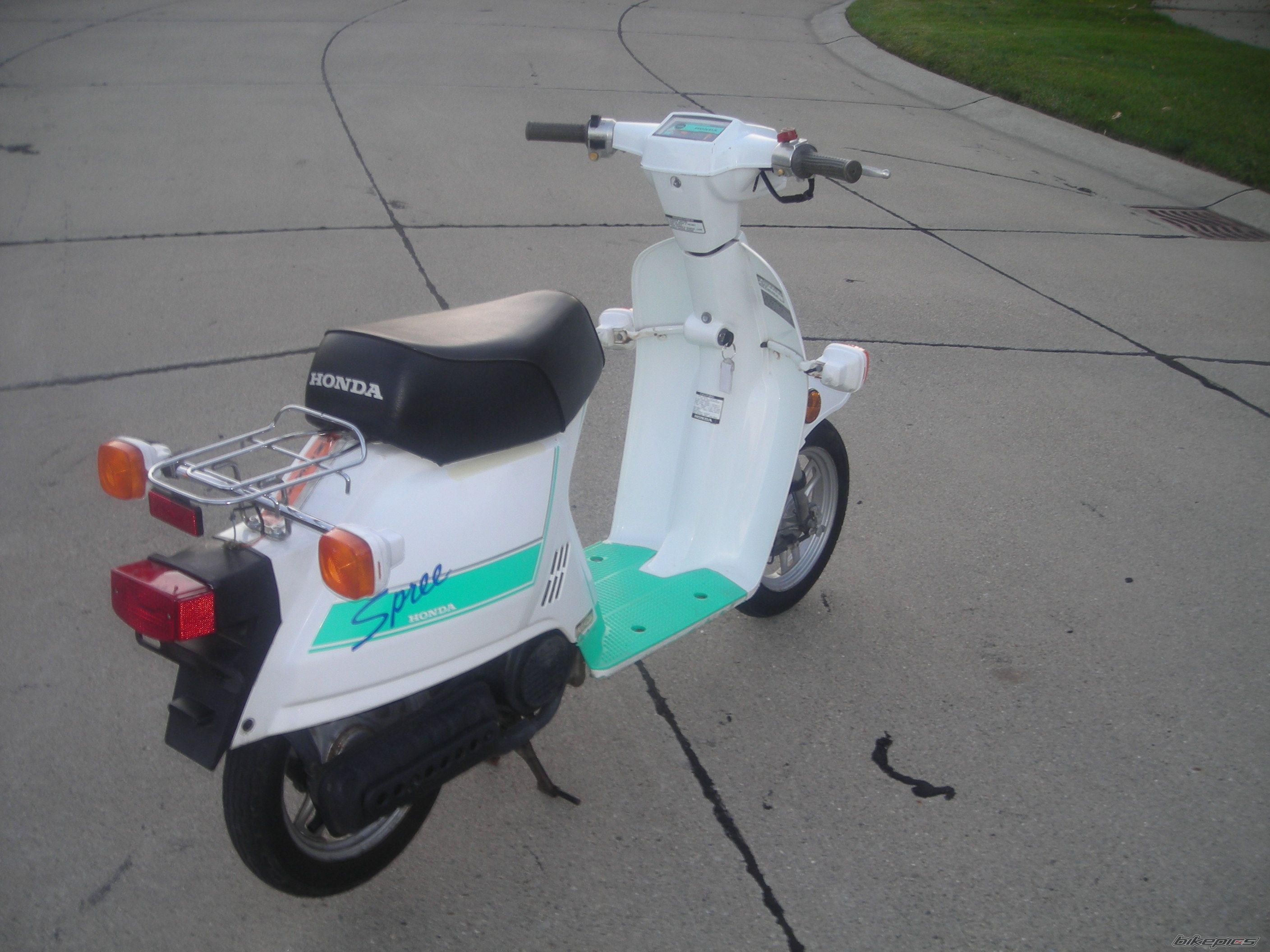 1986 HONDA SPREE | Picture 1340770 motorcycle photo