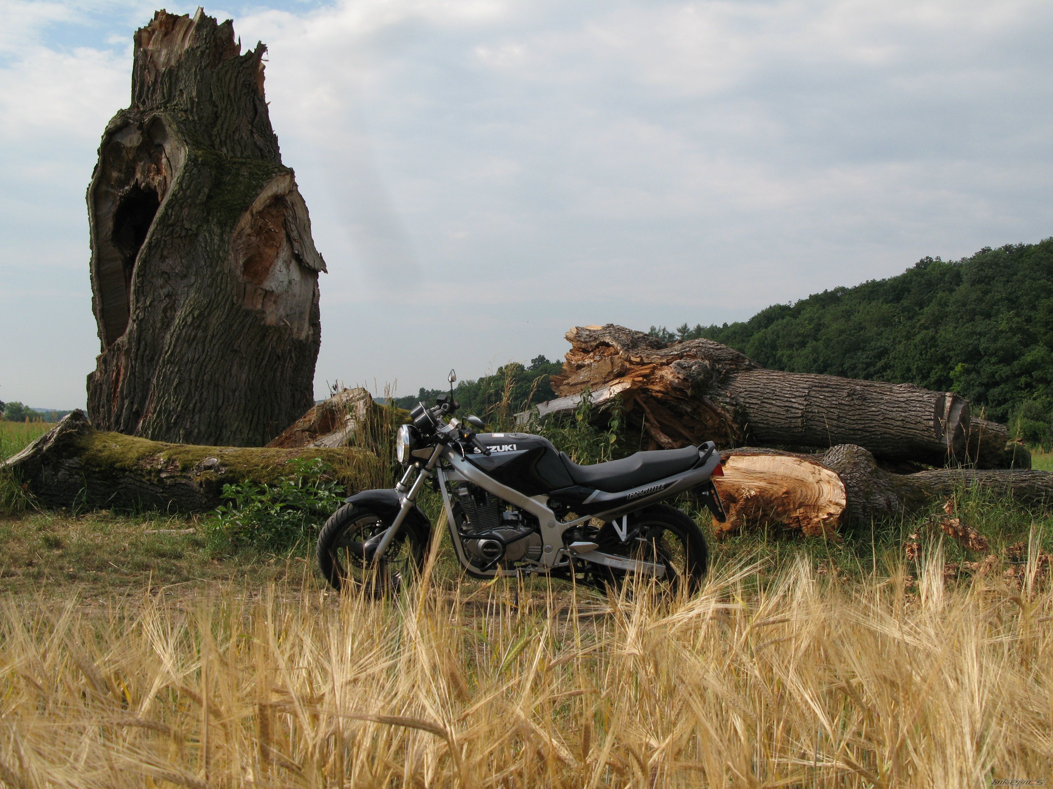 1998 SUZUKI GS 500 | Picture 1341019 motorcycle photo