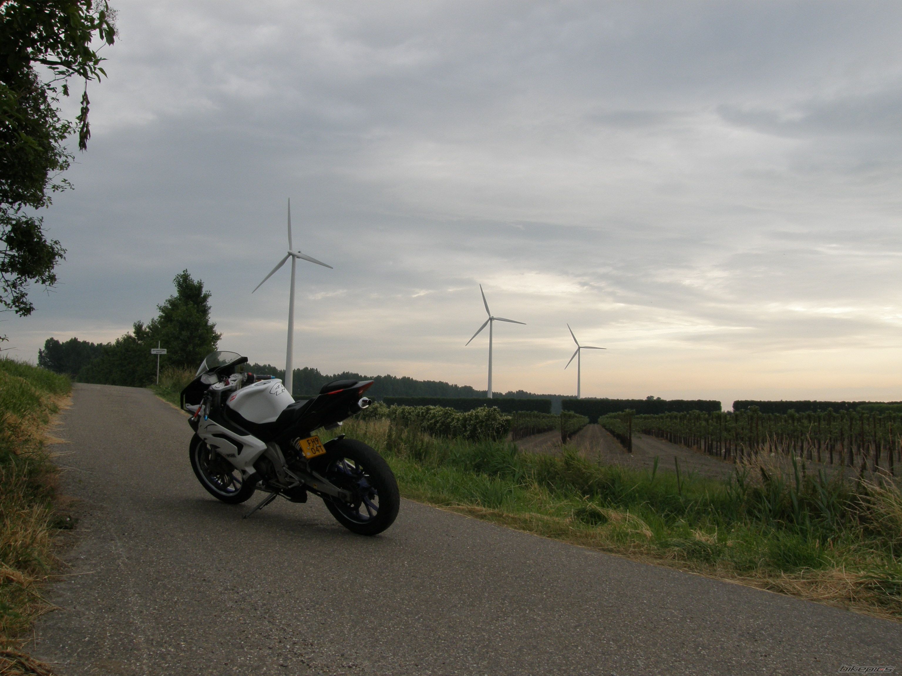 2007 APRILIA RS 50 | Picture 1341289 motorcycle photo