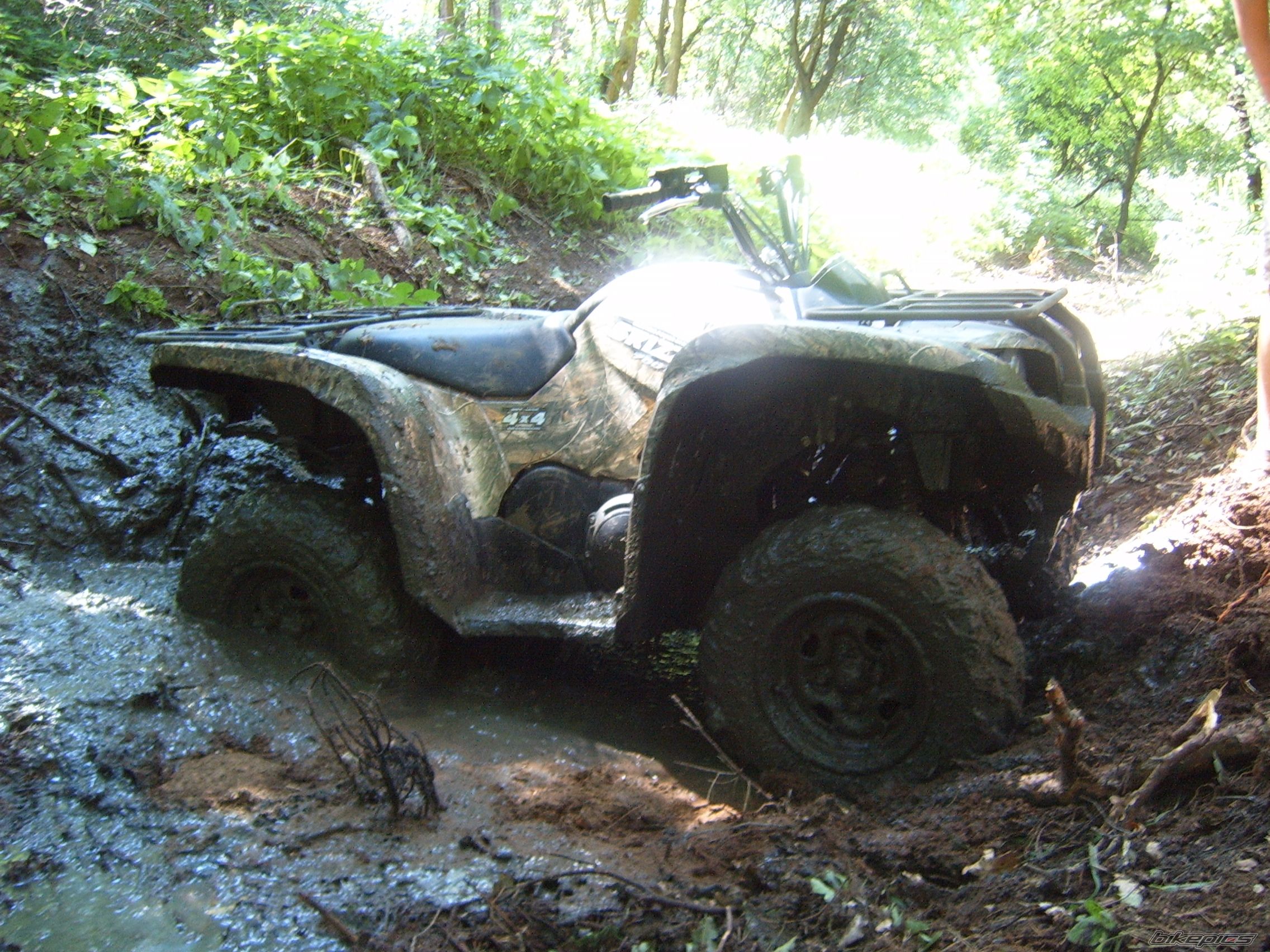2008 YAMAHA GRIZZLY | Picture 1341956 motorcycle photo