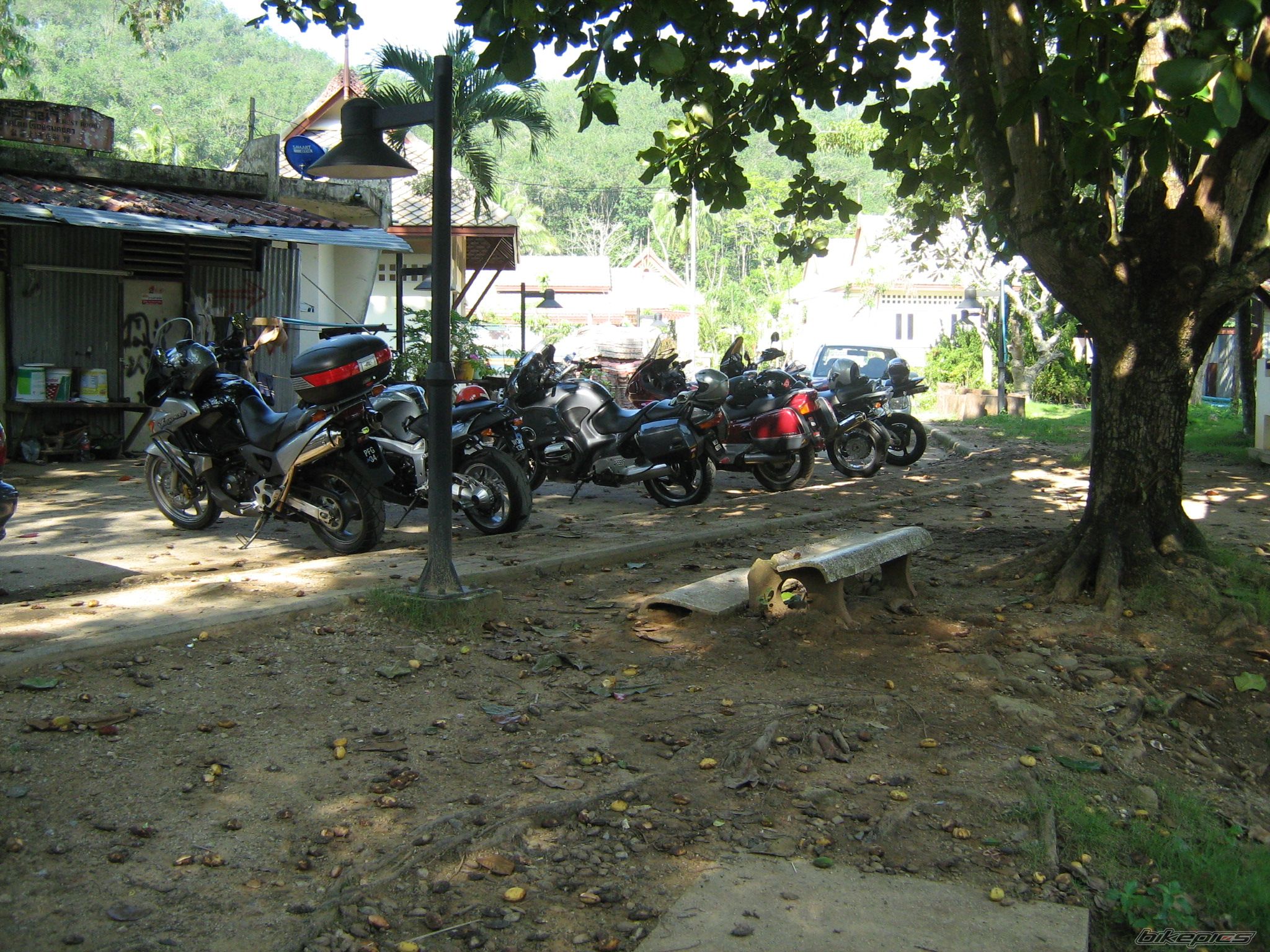    | Picture 1341981 motorcycle photo