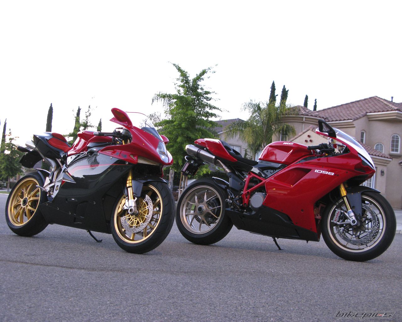 2008 DUCATI 1098 | Picture 1342386 motorcycle photo