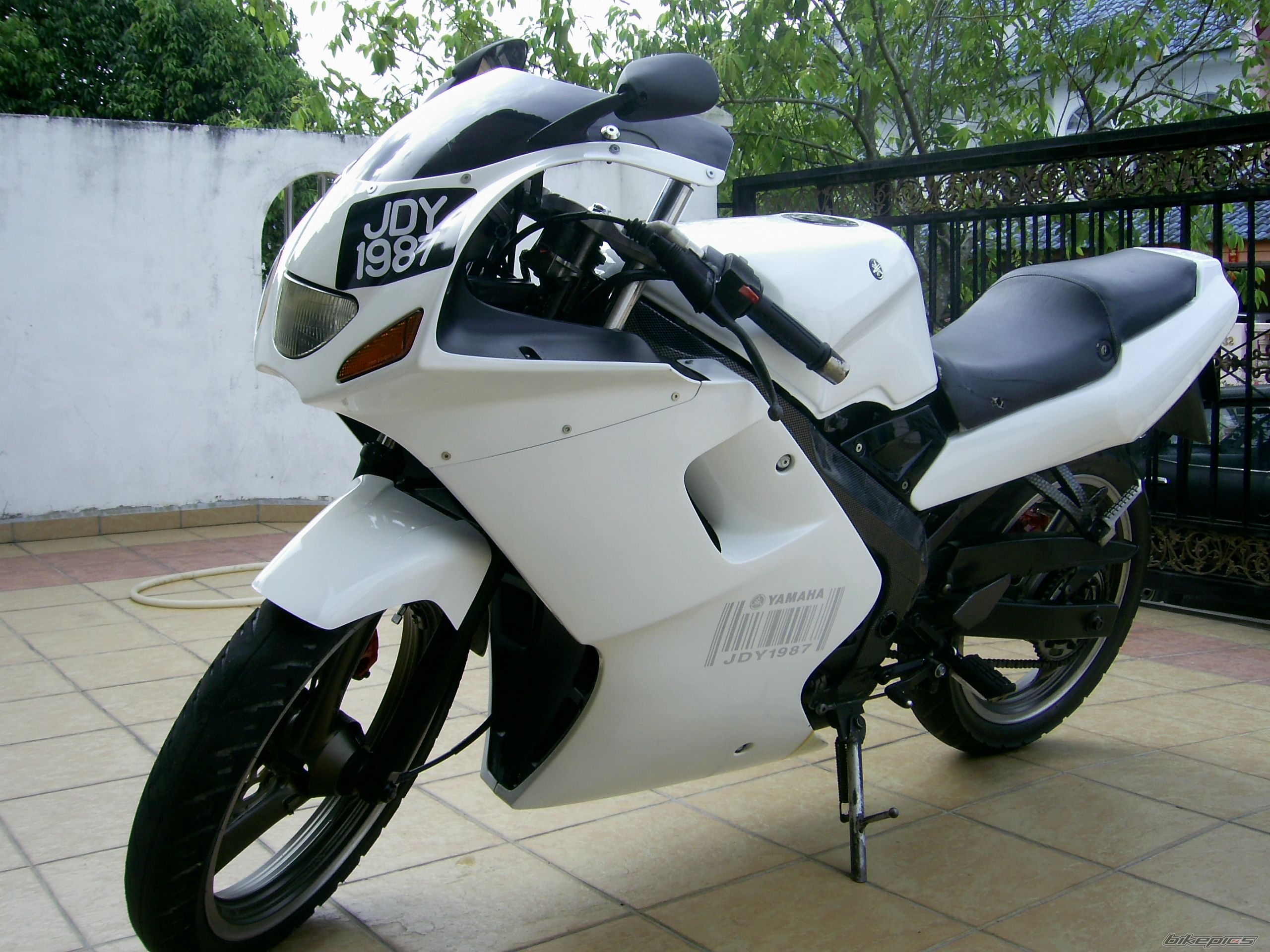 2008 YAMAHA TZM 150 | Picture 1342791 motorcycle photo