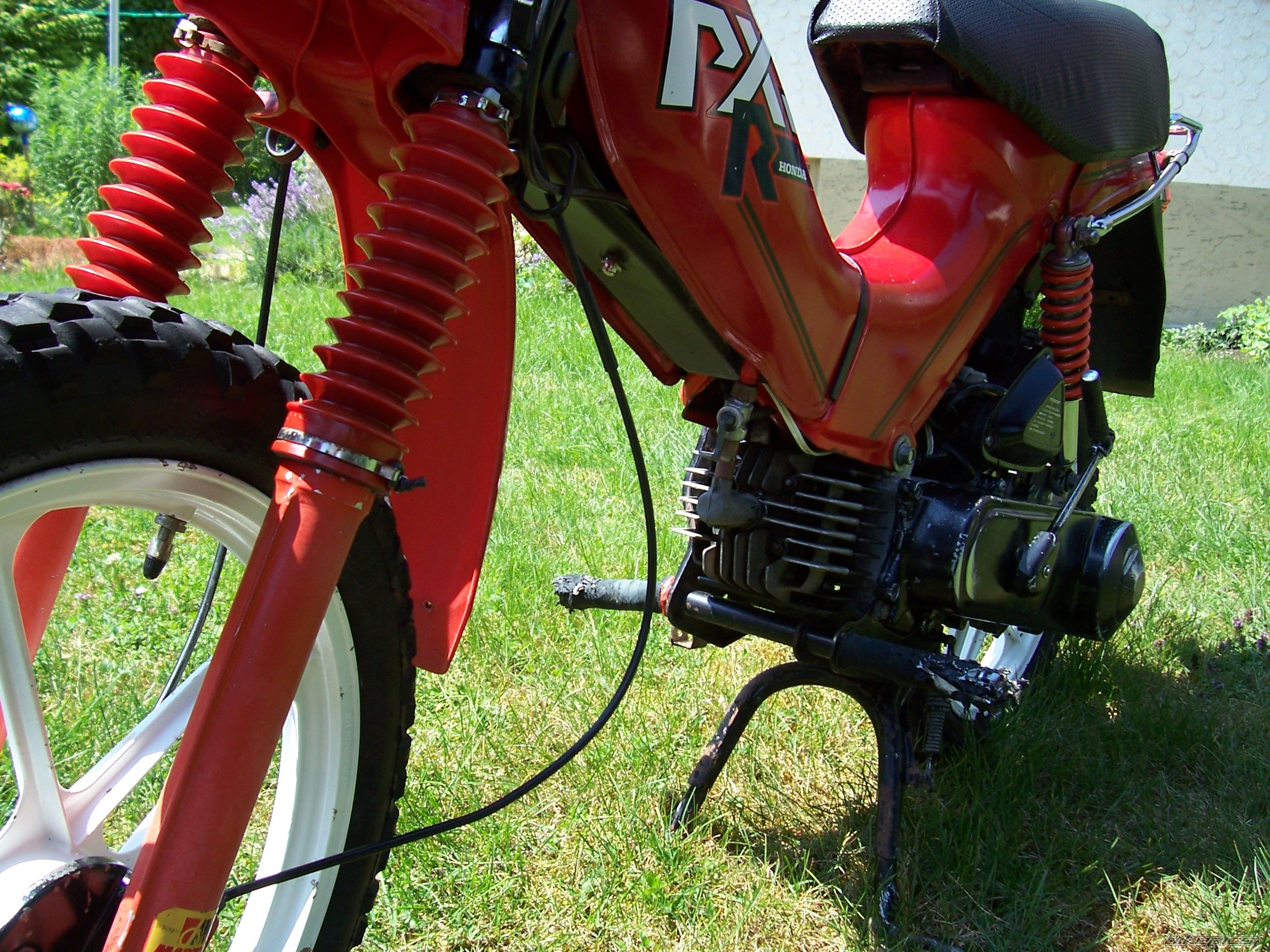 1986 HONDA PXR 50 | Picture 1343007 motorcycle photo